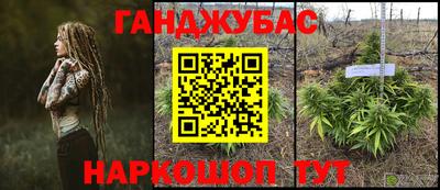 сатива Кимры