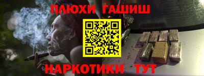 сатива Кимры